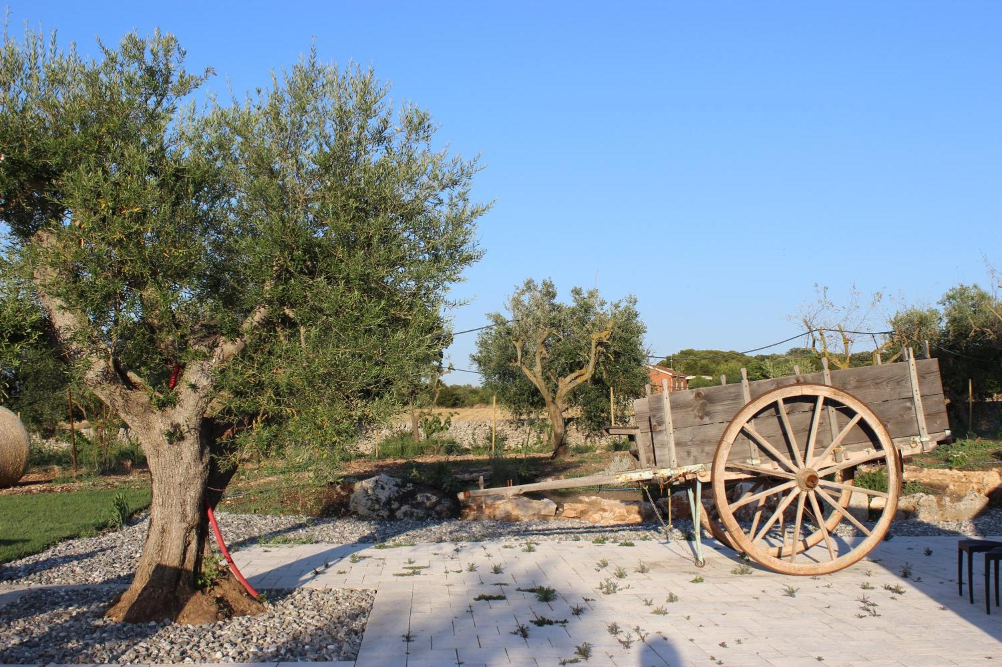 Masseria Stella Gioia Del Colle Eksteriør bilde